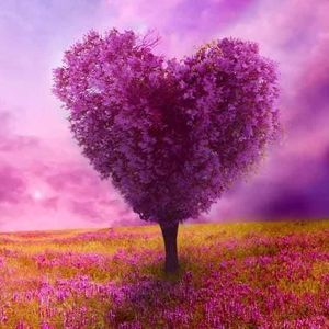 Meet your Posher, Buya